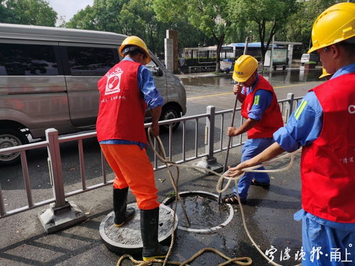 风雨同舟,奉化城管应急救援队驰援海曙——记一次紧急救援行动